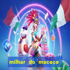 milhar do macaco que mais saem no jogo do bicho