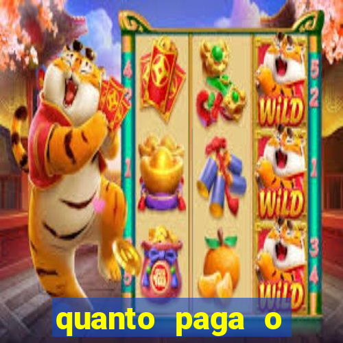 quanto paga o jungle fight