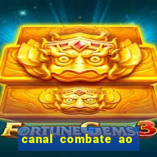 canal combate ao vivo online, multicanais