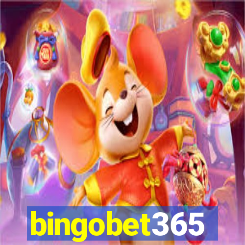 bingobet365