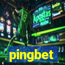 pingbet