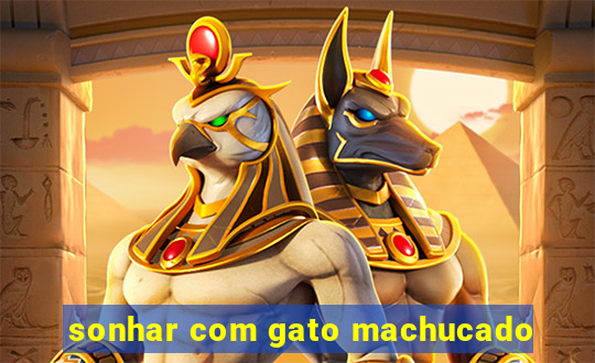 sonhar com gato machucado