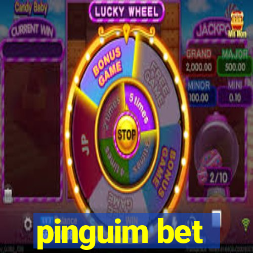 pinguim bet