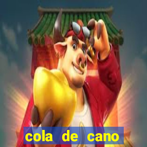 cola de cano quanto tempo para secar