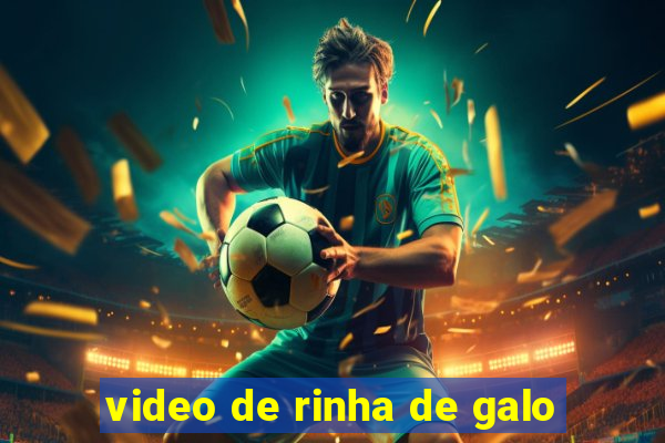 video de rinha de galo