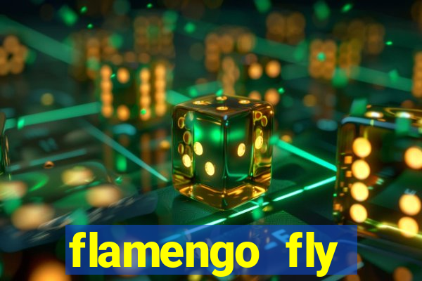 flamengo fly emirates ultimas noticias