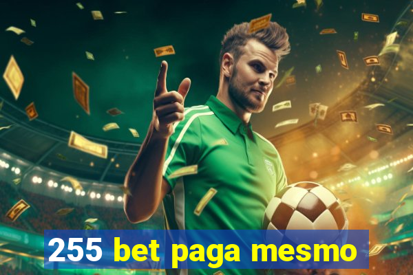 255 bet paga mesmo