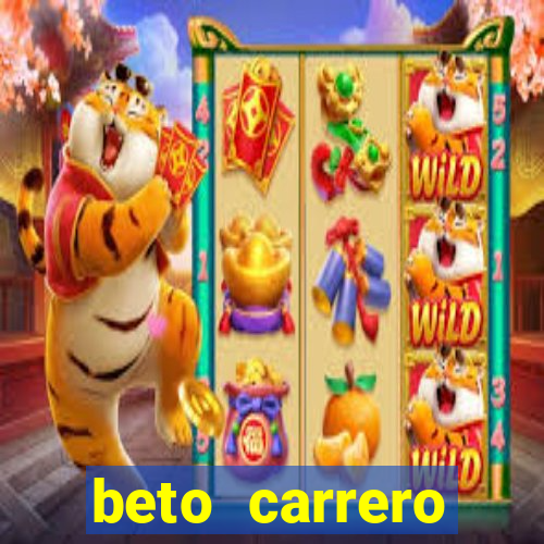 beto carrero cidades proximas