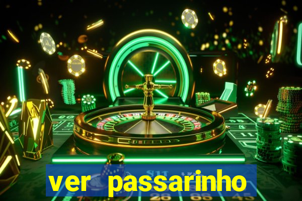 ver passarinho morto significado espiritual